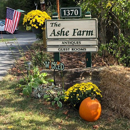 The Ashe Farm Bed & Breakfast Marshall Dış mekan fotoğraf