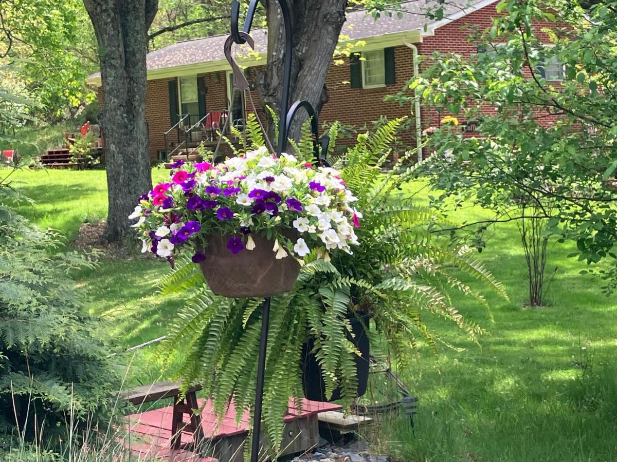 The Ashe Farm Bed & Breakfast Marshall Dış mekan fotoğraf