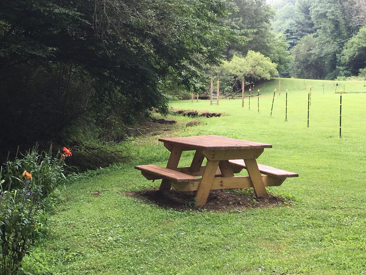 The Ashe Farm Bed & Breakfast Marshall Dış mekan fotoğraf