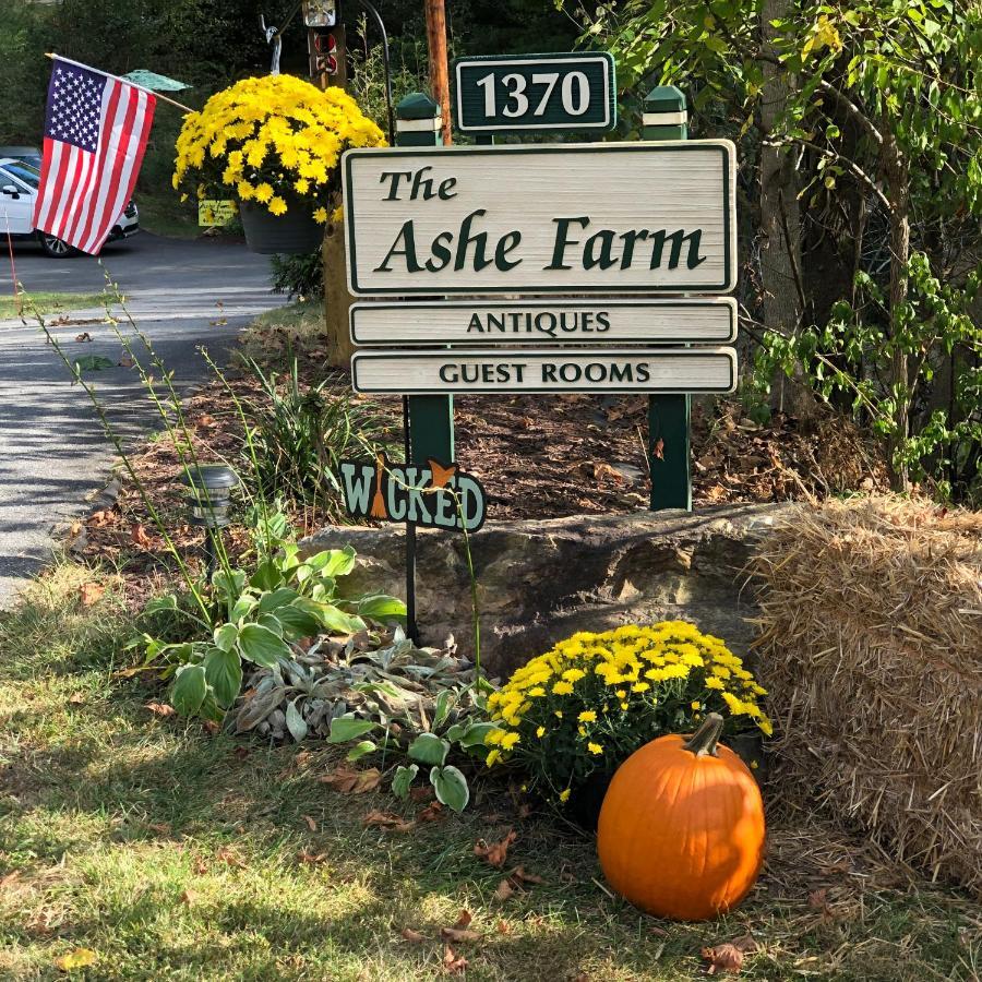 The Ashe Farm Bed & Breakfast Marshall Dış mekan fotoğraf